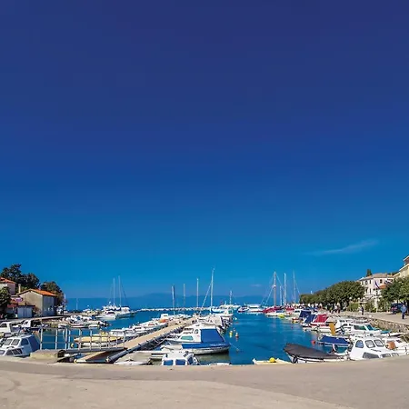 Pet Friendly In Malinska
